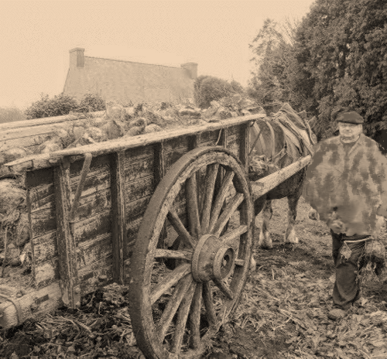 BOULET Grossiste F&L Charrette bois à cheval de Louis Bouyer 1869 ramassage en culture