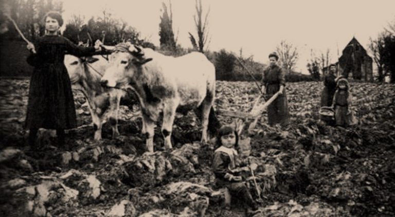 BOULET F&L culture des champs en 1900